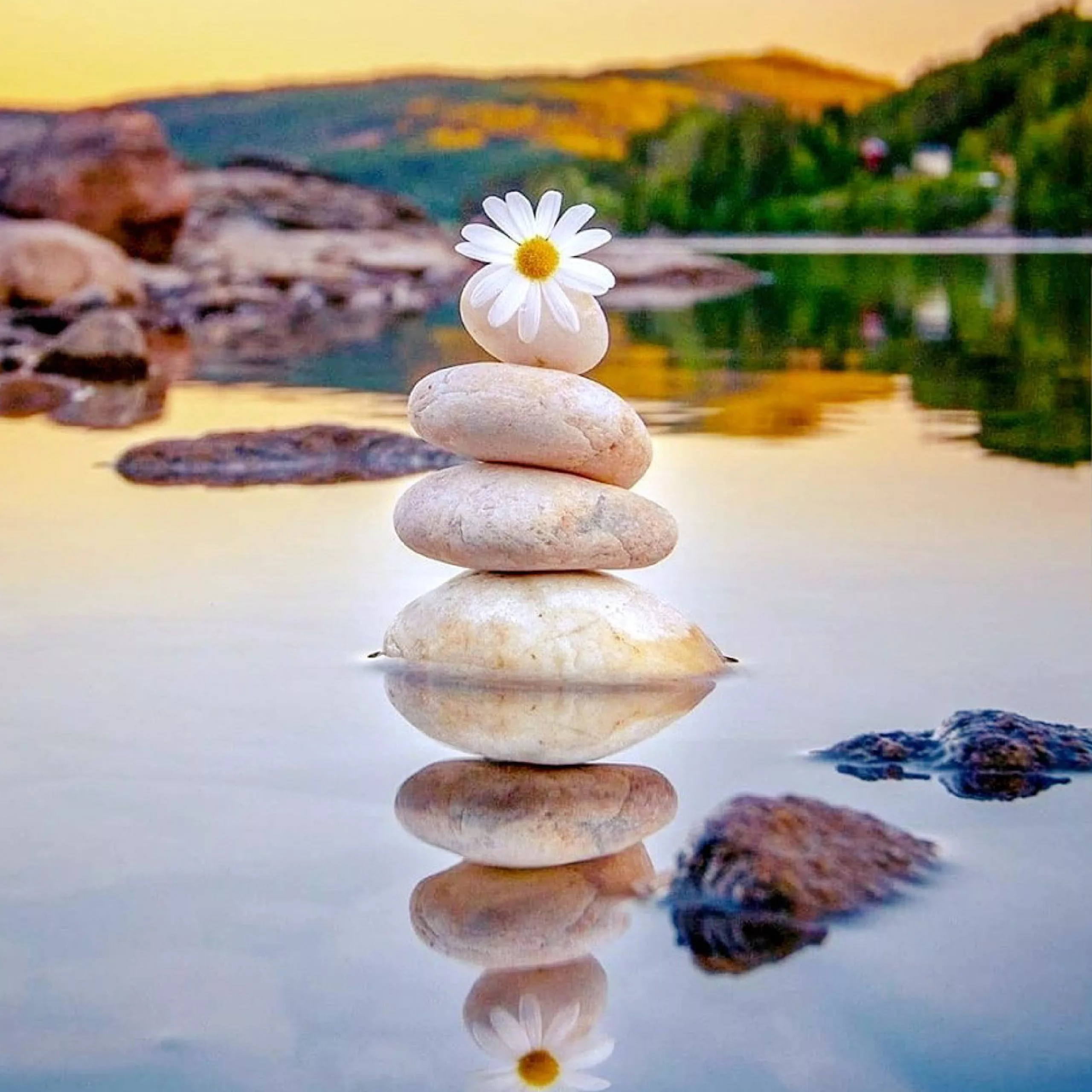 Le bien-être qu'est ce que c'est